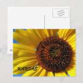 SUNFLOWER-STAAT POSTKARTE (Vorne/Hinten)