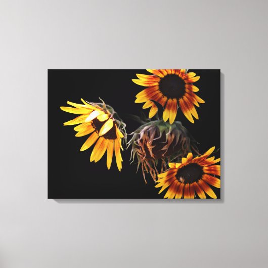 Sunflower Stretched Canvas Print Leinwanddruck (Vorderseite)