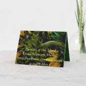 Sunflower Symphony Karte (Rückseite)