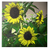 Sunflower Trio Fliese (Vorderseite)