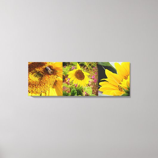 Sunflower Trio Leinwanddruck (Vorderseite)
