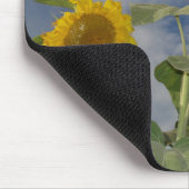 Sunflower Trio Mousepad (Ecke)