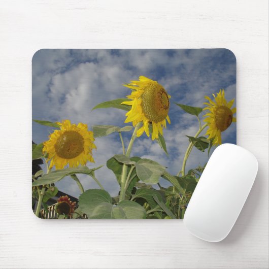 Sunflower Trio Mousepad (Mit Mouse)