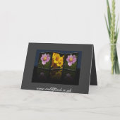 Sunflower Tryptych Card Karte (Rückseite)