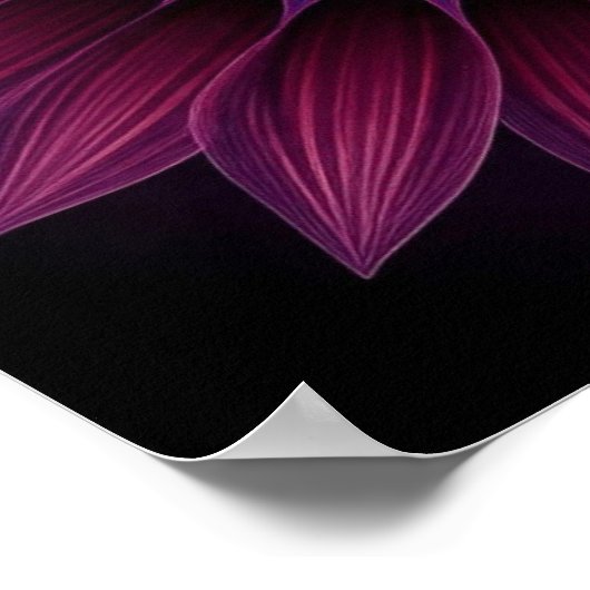 SunFlowerHexe Poster (Ecke)