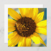 Sunflowers  (Vorne/Hinten)