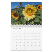 Sunflowers (2nd edition) kalender (Jan 2027)