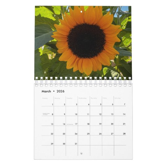 Sunflowers (2nd edition) kalender (Mär 2026)