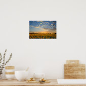 Sunflowers at Sunset 12x8 inches Poster (Küche)