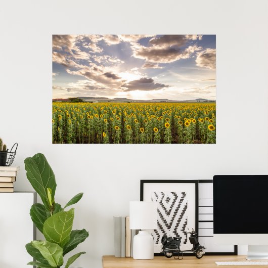 Sunflowers at Sunset Poster (Heimbüro)