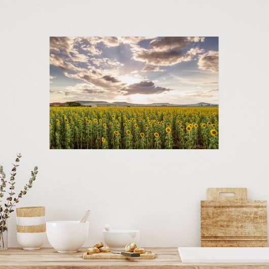 Sunflowers at Sunset Poster (Küche)