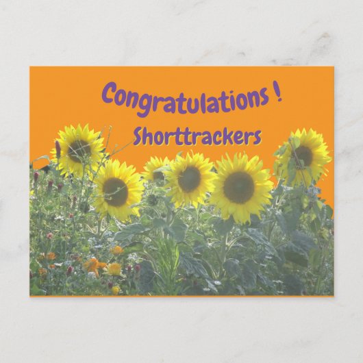 Sunflowers Congratulations Cust. Text Postcard Postkarte (Vorderseite)