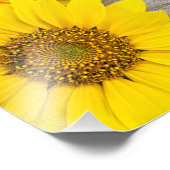 Sunflowers Fotodruck (Ecke)