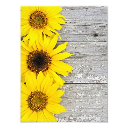Sunflowers Fotodruck (Vorne)
