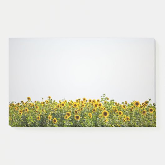 Sunflowers in a Field Post-it Klebezettel (Vorderseite)
