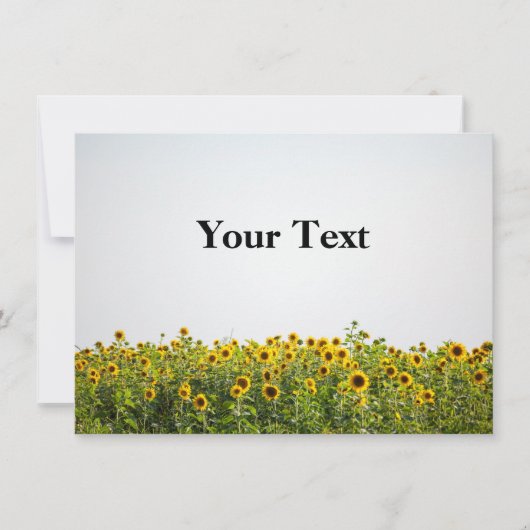 Sunflowers in Field Einladung (Vorderseite)