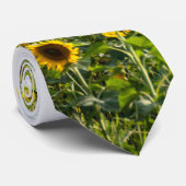 Sunflowers in Field Krawatte (Gerollt)