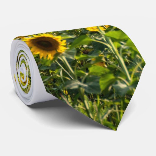 Sunflowers in Field Krawatte (Gerollt)