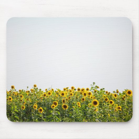 Sunflowers in Field Mousepad (Vorne)