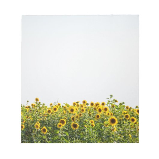 Sunflowers in Field Notizblock (Vorderseite)