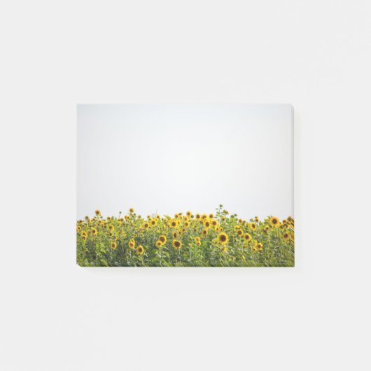 Sunflowers in Field Post-it Klebezettel (Vorderseite)