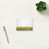 Sunflowers in Field Post-it Klebezettel (Büro)