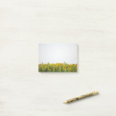 Sunflowers in Field Post-it Klebezettel (Auf Schreibtisch)