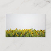 Sunflowers in Field Visitenkarte (Vorderseite)