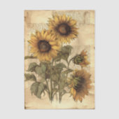 Sunflowers on Worn Style Parchment with Script Seidenpapier (Vorderseite)