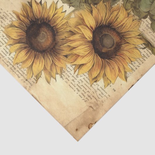 Sunflowers on Worn Style Parchment with Script Seidenpapier (Ausschnitt)