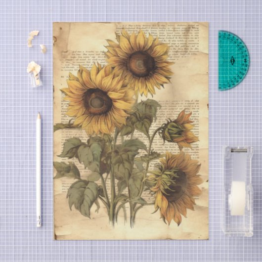 Sunflowers on Worn Style Parchment with Script Seidenpapier (Handwerk)