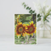 SunFlowers Postkarte (Stehend Vorderseite)