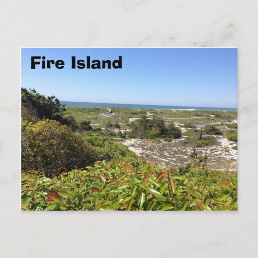 Sunken Forrest, Fire Island, NY Postkarte (Vorderseite)