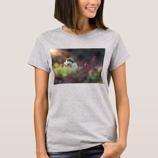 Sunlight Bathing Finch T - Shirt (Vorderseite)