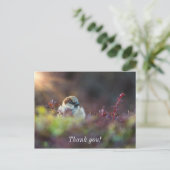 Sunlight Bathing Finde Danke Postcard Postkarte (Stehend Vorderseite)