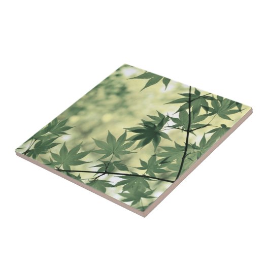 Sunlight Through Maple Leaves Fliese (Seite)