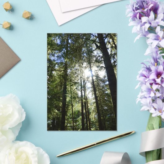 Sunlight Through Pine Trees Acryleinladungen (In Situ (Hochzeit))