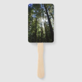 Sunlight Through Pine Trees Fächer (Rückseite)