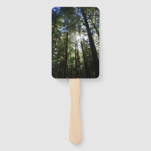 Sunlight Through Pine Trees Fächer (Rückseite)