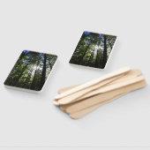 Sunlight Through Pine Trees Fächer (Non-assembled)