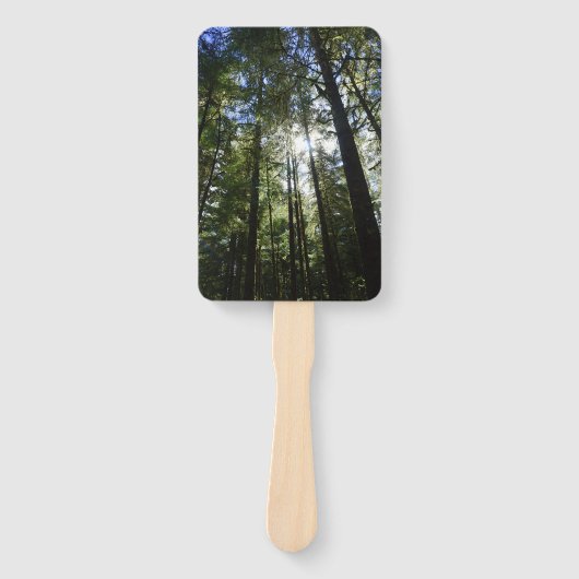 Sunlight Through Pine Trees Fächer (Vorderseite)