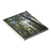 Sunlight Through Pine Trees Notizblock (angewinkelt)