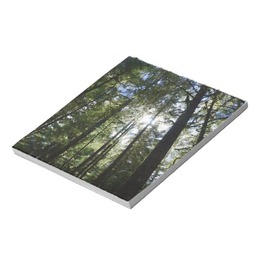 Sunlight Through Pine Trees Notizblock (Rotiert)