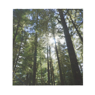 Sunlight Through Pine Trees Notizblock