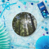 Sunlight Through Pine Trees Pappteller (Party)