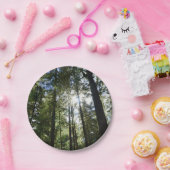 Sunlight Through Pine Trees Pappteller (Party)