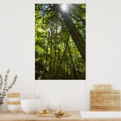 Sunlight Through the Forest Canopy Poster (Küche)