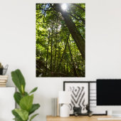 Sunlight Through the Forest Canopy Poster (Heimbüro)