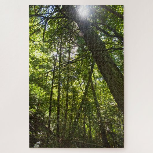Sunlight Through the Forest Canopy Puzzle (Vertikal)
