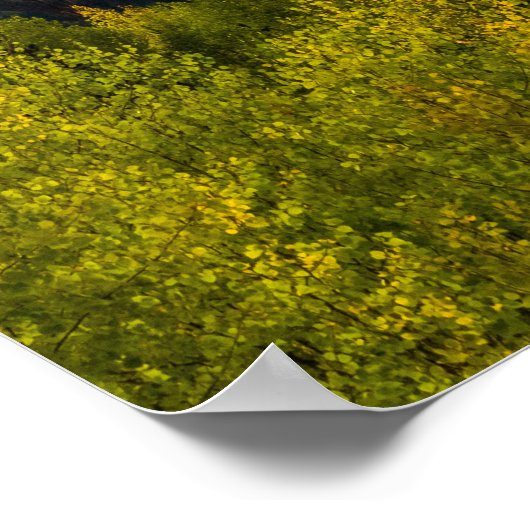 Sunlight Valley // Autumn Color Forest Poster (Ecke)